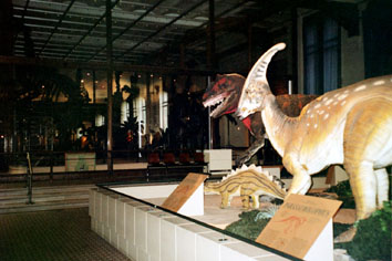 Plastikdinosaurer i Naturhistorisk Museum