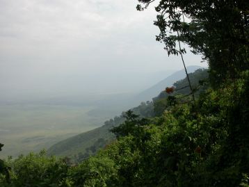 Udsigt over Ngorongoro fra kraterranden.