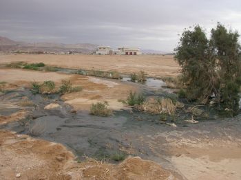 Oliepøle i Sinaiørkenen.