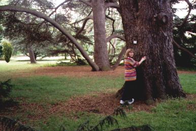 Cambridges botaniske have