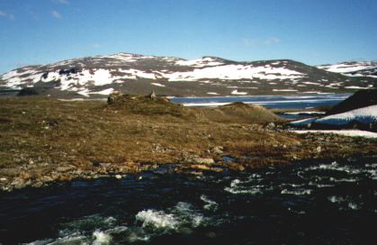 Haltifjeldet i baggrunden