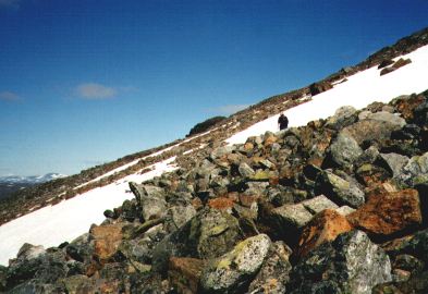 Uendelig blokmark p Haltifjeldet