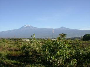 Kilimanjaro tidlig morgen set fra Springland Guesthouse.