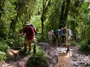 Mudder mod Machame Camp.