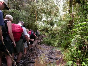 Mere mudder mod Machame Camp.