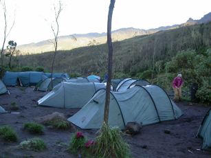 Tidlig morgen i Machame Camp 2.980 m