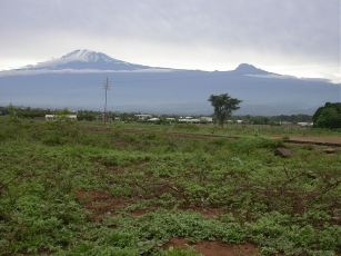 Kilimanjaro med nysne.