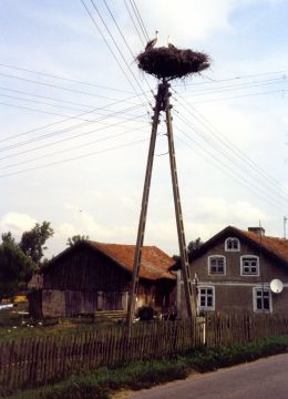 Storke i tilfldig lansaby