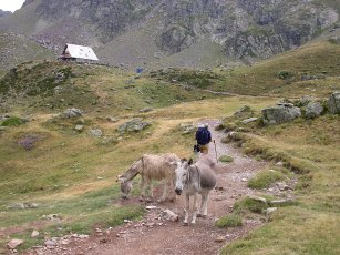 sler og Refuge d Ayous 1.947 m